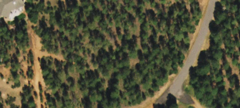 Forested Mountain Residential Lot