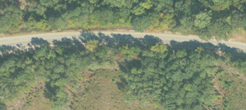 Wooded Hunting Land with Road Access