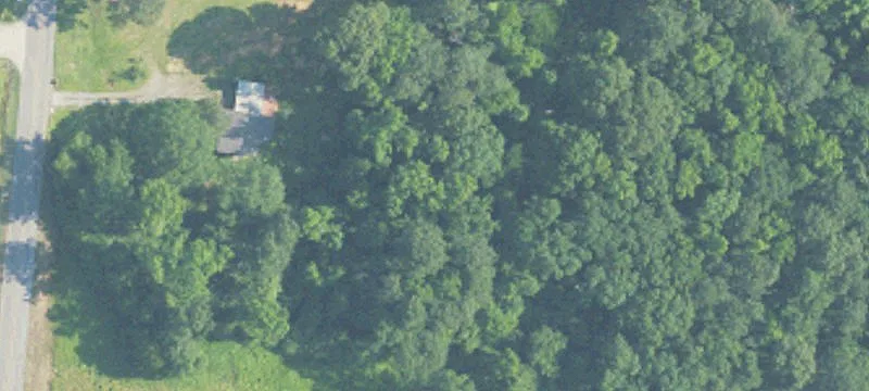 Private Wooded Home Lot