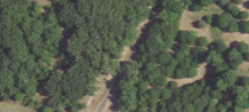 Fully Fenced Hunting and Pasture Acreage
