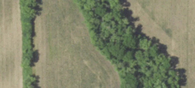 Country Acreage Parcel