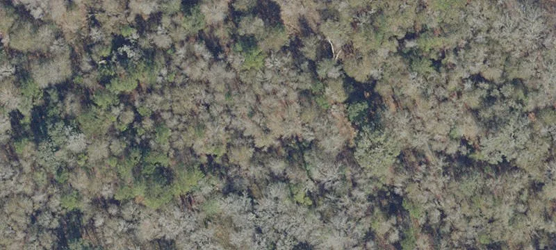 Wooded Land with Pond