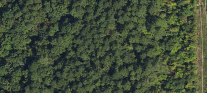 Wooded Building Lot with Protective Covenants