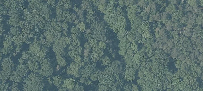 Rolling Land with Rock Outcroppings
