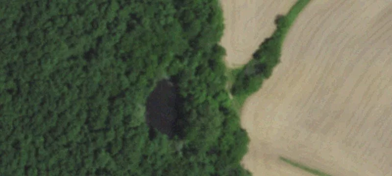 Farmland and Hunting Tract