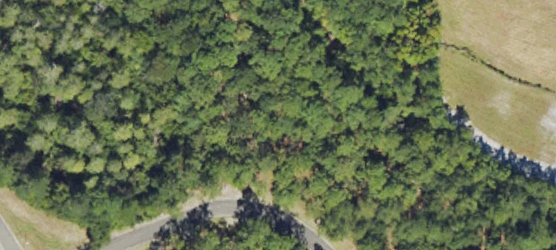 Wooded Waterfront Lot in Gated Community
