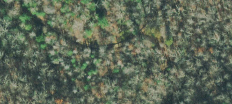 Residential Land Tract with Driveway