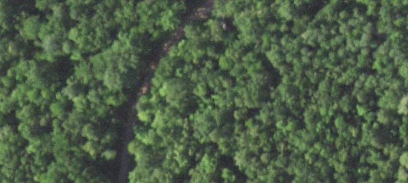 Wooded Recreational Land Parcel