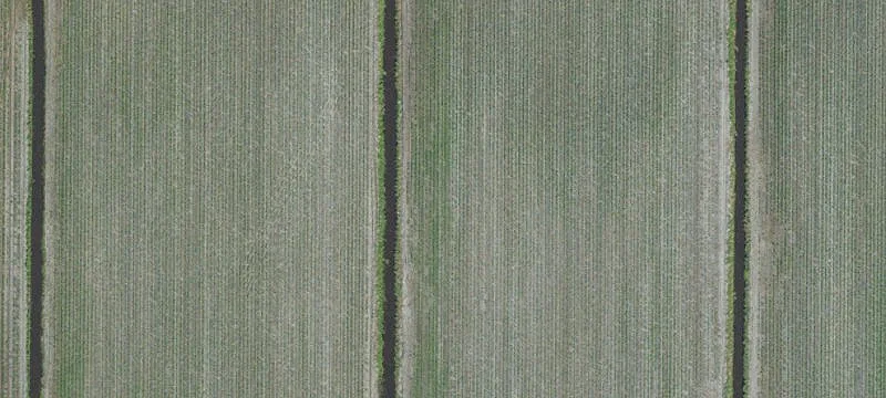 Build-Ready Cleared Acreage Land