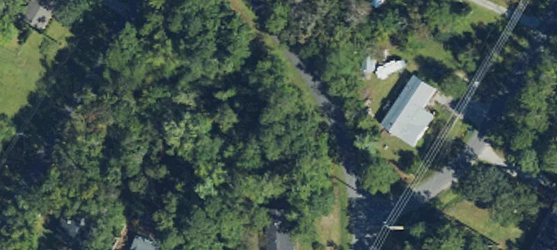 Tree-Lined Residential Building Lot