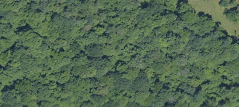 Hunting and Recreation Land with Dual Access