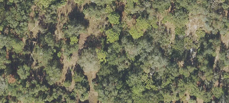 Residential Development Land