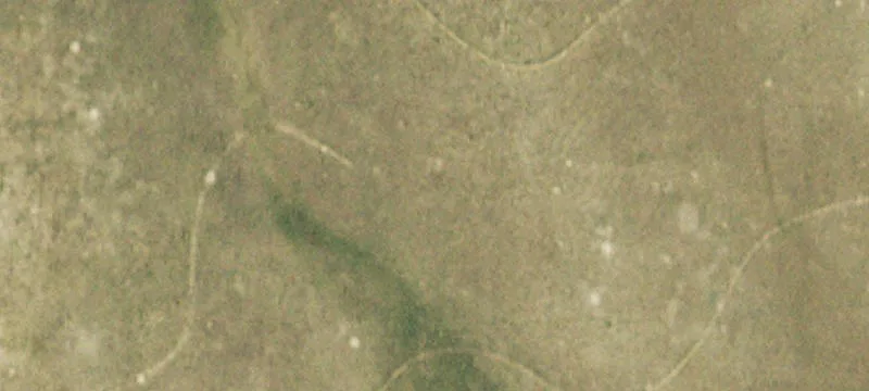 Fenced Agricultural Land with Well Permit