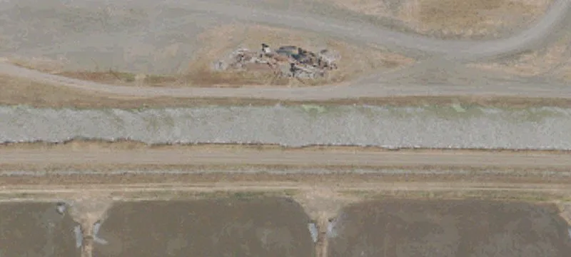 Walnut Orchard Ranch with Water Rights
