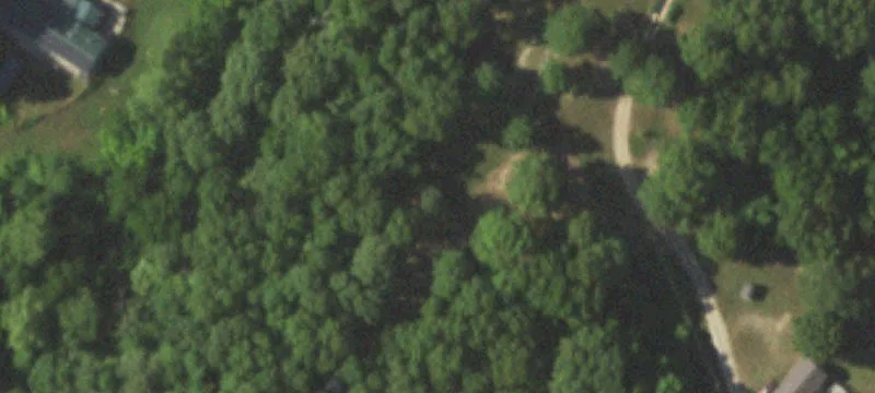 Turkey Farm with Five Houses