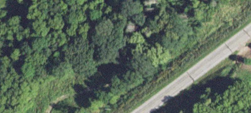 Wooded Buildable Land Lot
