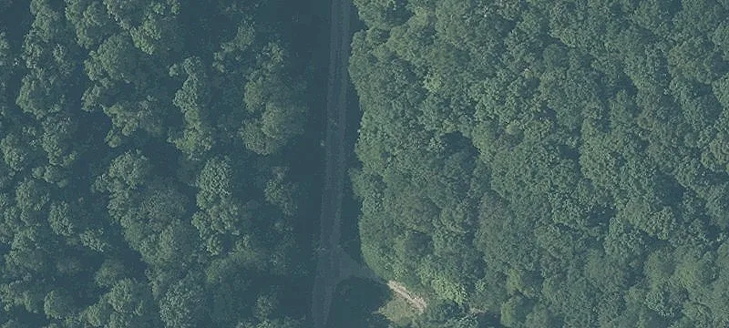 Wooded Recreational Land Retreat