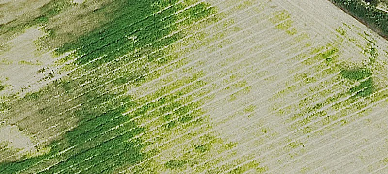 CRP-Enrolled Farmland Tract