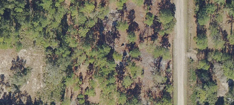 Cleared Residential Lot with Room to Expand