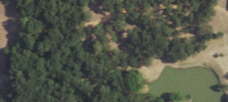 Acreage with Two Ponds