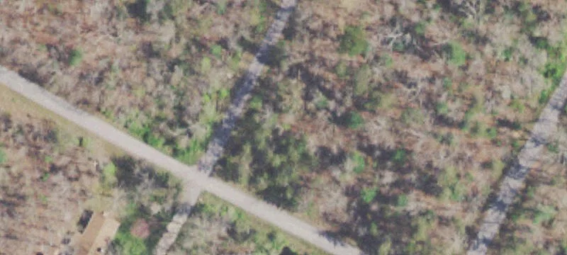 Wooded Buildable Residential Lot
