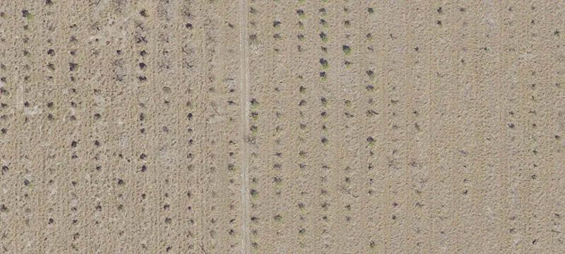 Agricultural Land at Highway Intersection