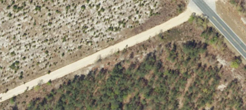 Recreational Timber Tract with Food Plots