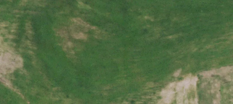 Turn-Key Hunting Land with Floodable Unit