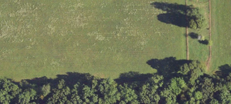 Agricultural Land with Pasture and Pond