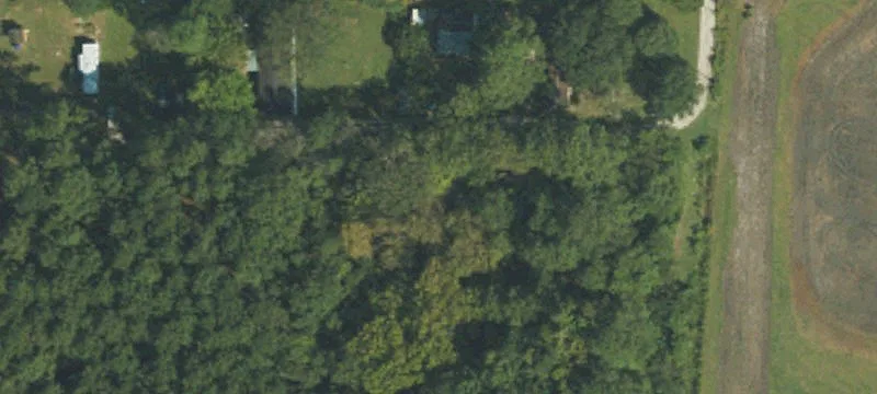 Wooded Land with Development Potential