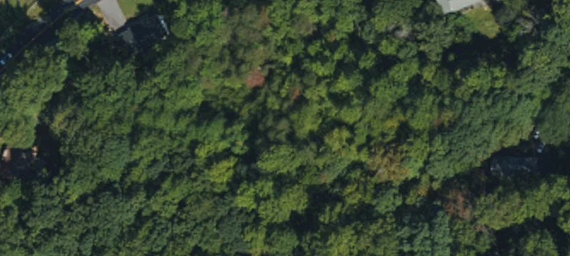 Wooded Residential Land Parcel