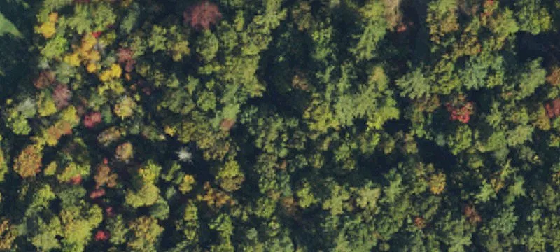 Vacant Golf Course Lot