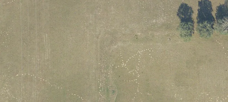 Agricultural Acreage with Pivot System