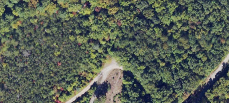 Wooded Hunting and Recreation Land