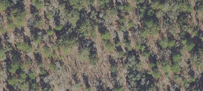 Zoned R1 Residential Lot