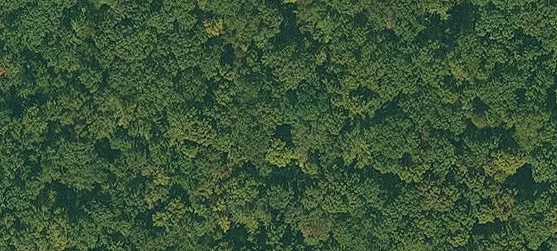 Timbered Residential Development Land