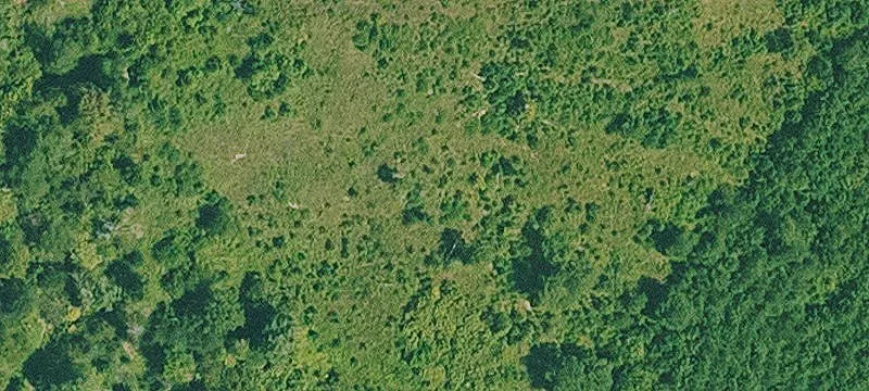 Timber-Backed Acreage Homesite