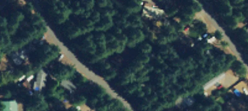 Treed Lot with RV/Home Clearing