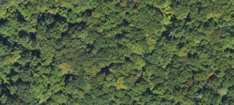 Secluded Mountain Building Lot
