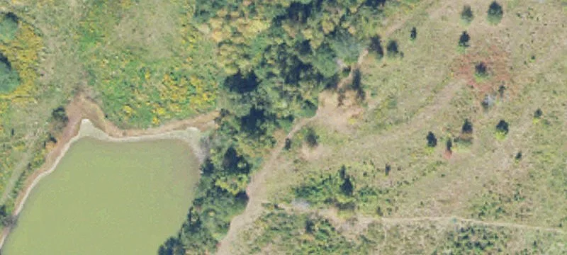 Farm Homestead with Creek and Pasture