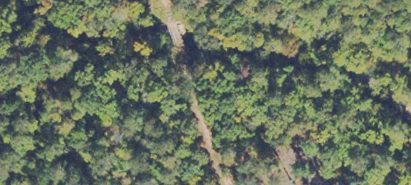 Recreational Hunting and Timber Land
