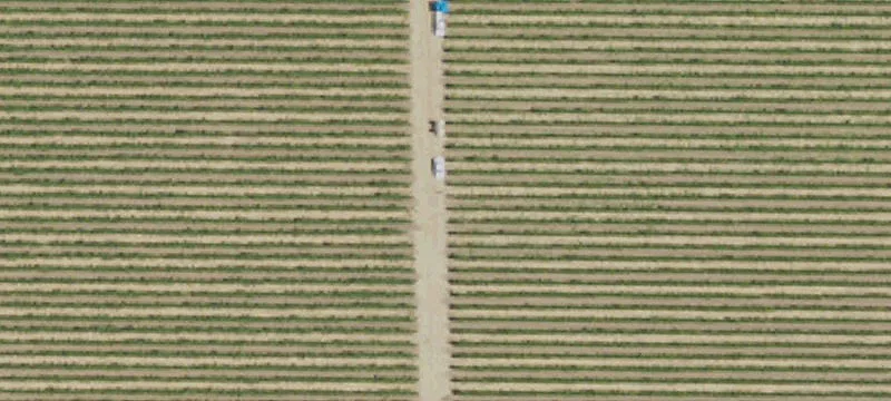 Agricultural Land Parcel for Sale