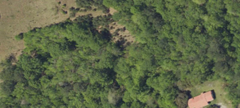 Partially Cleared Homesite Acreage