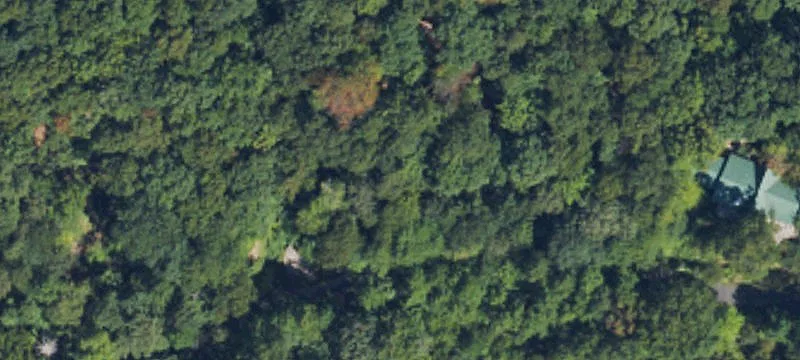 Sloping Lake-View Home Lot