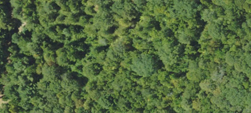 Unimproved Residential Acreage