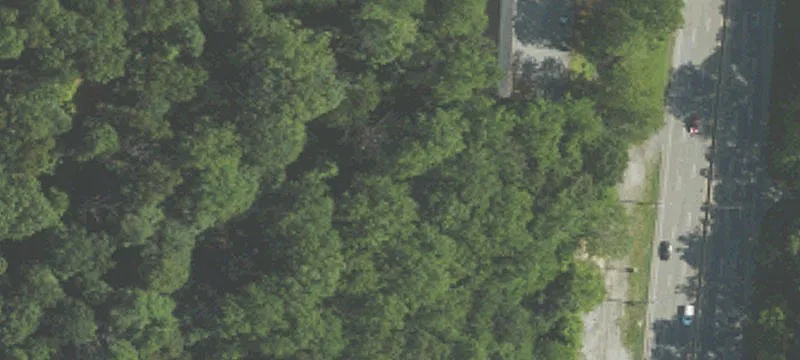 Residential Building Lot with Wooded Privacy