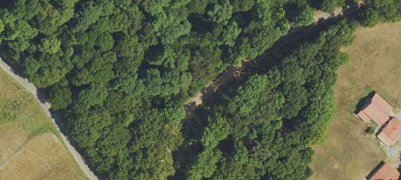 Hunting Tract with CRP Income