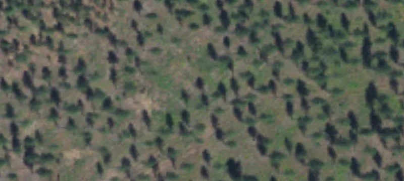 Recreational Hunting Land with Gated Access