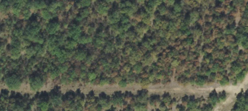 Vacant Land