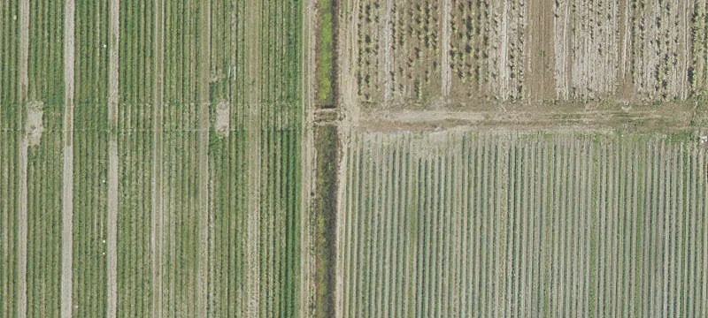 Ag-2 Farm with Irrigation Canal